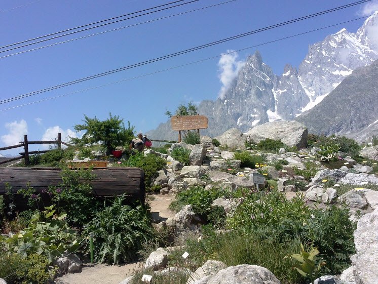 Giardino Botanico Alpino Saussurea, Italy
